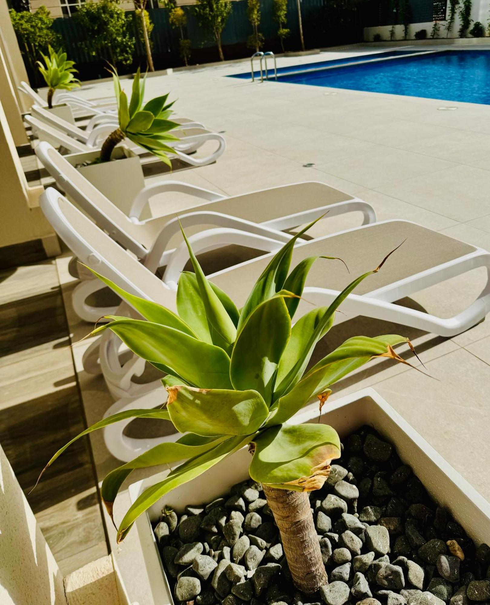 Calpe Beach II - Sea & Pool View Apartment Экстерьер фото